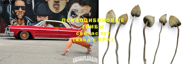 мет Алексеевка